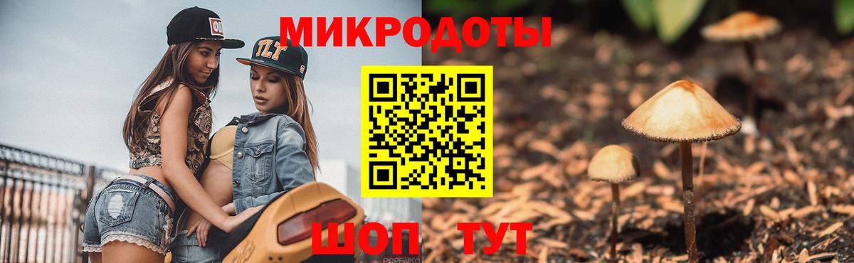 Галлюциногенные грибы Psilocybine cubensis Смоленск